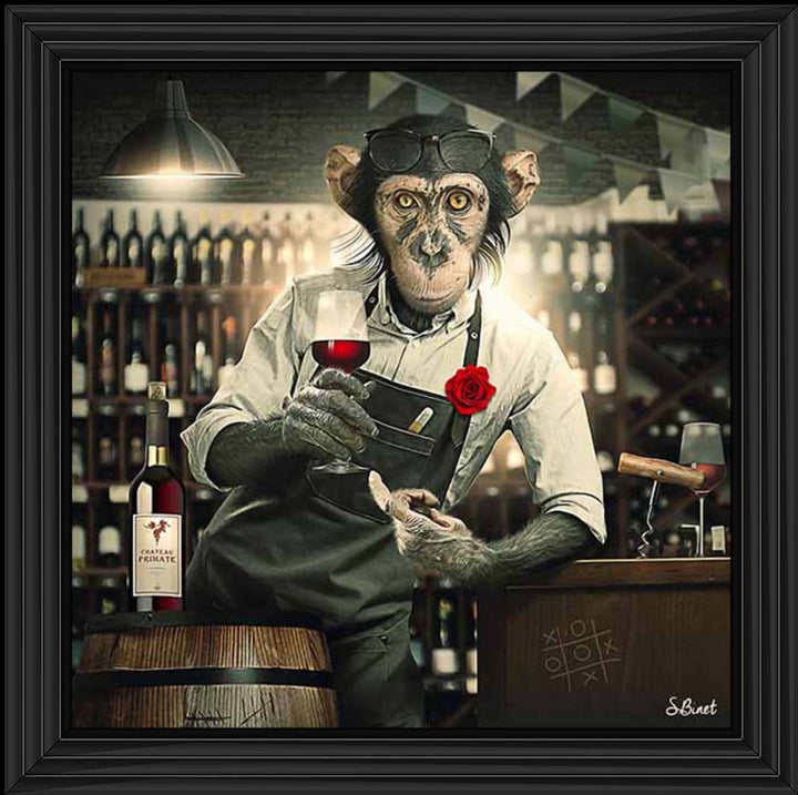 AN2315 The Bar Monkey