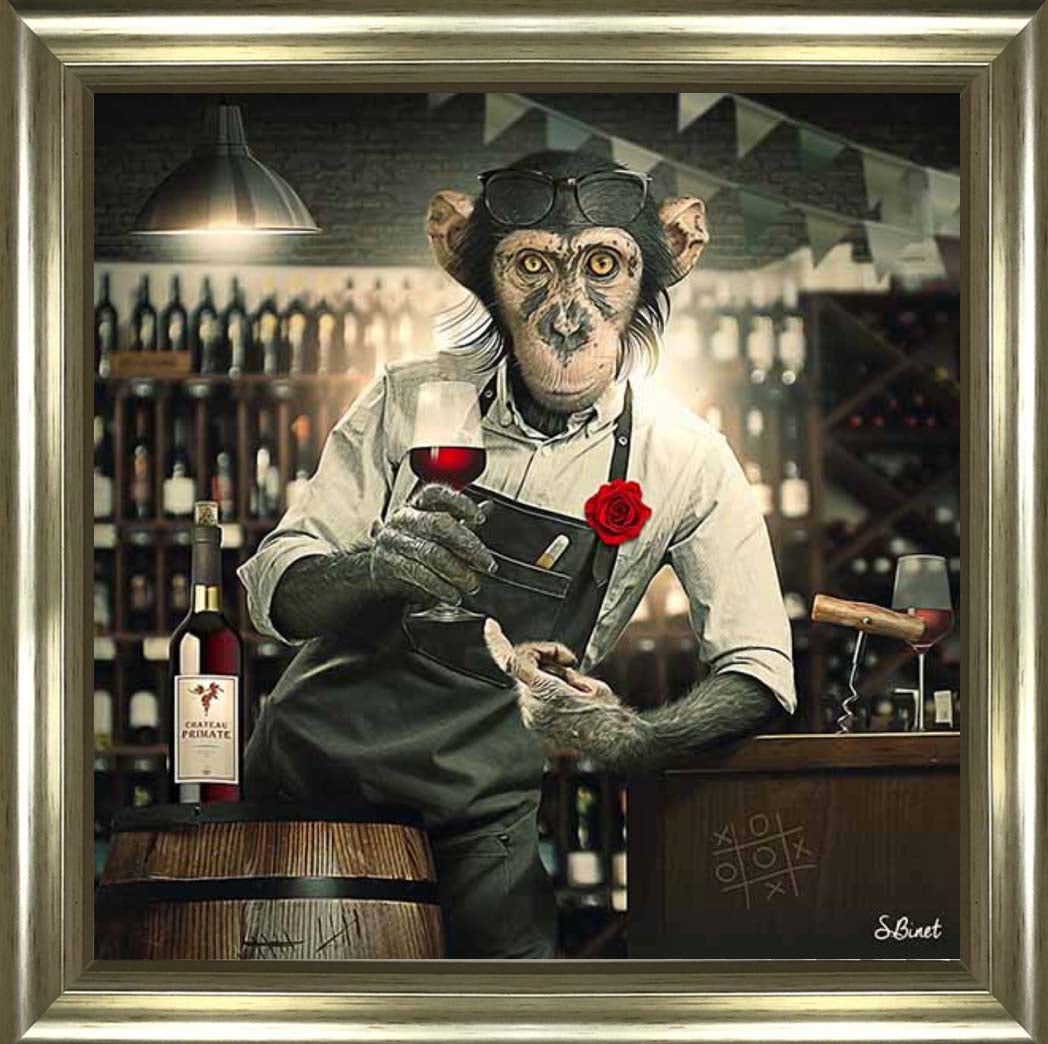 AN2315 The Bar Monkey