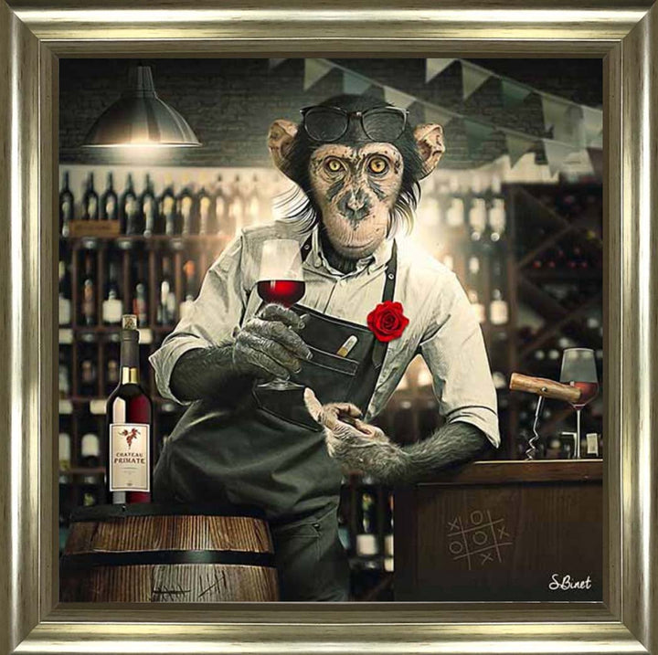 AN2315 The Bar Monkey