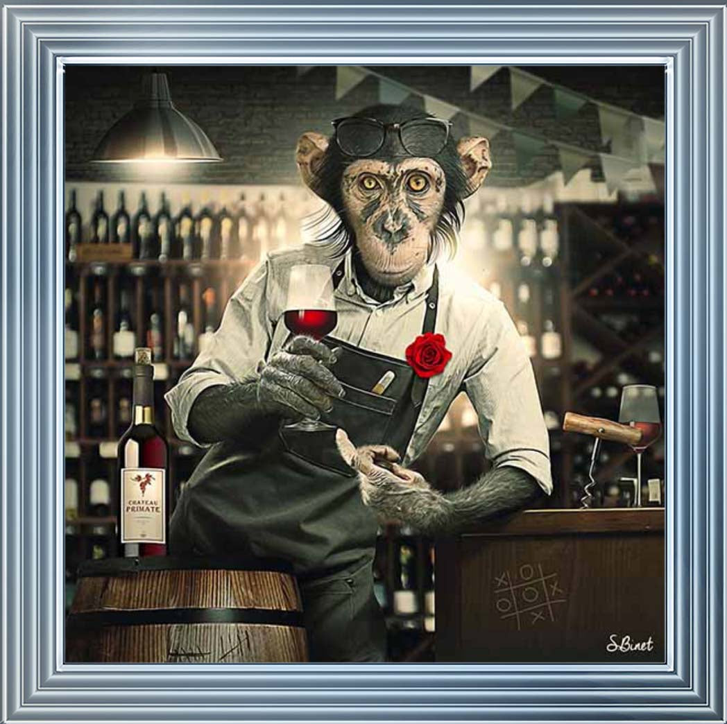 AN2315 The Bar Monkey