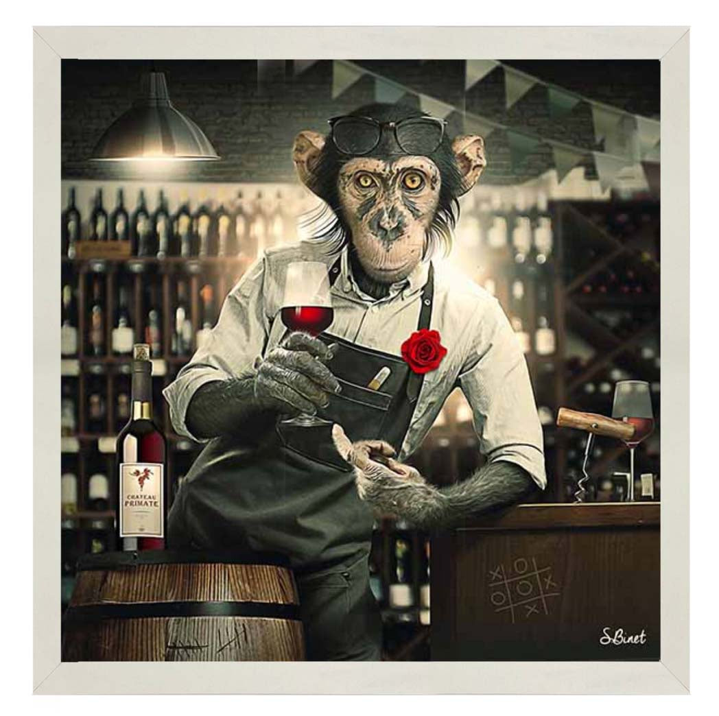 AN2315 The Bar Monkey
