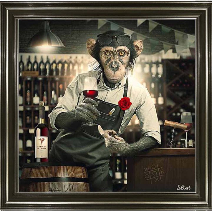 AN2315 The Bar Monkey