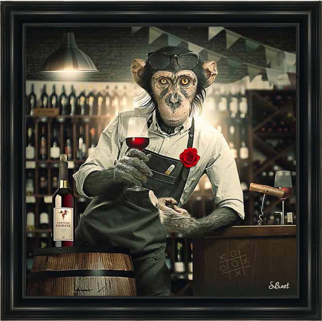 AN2315 The Bar Monkey