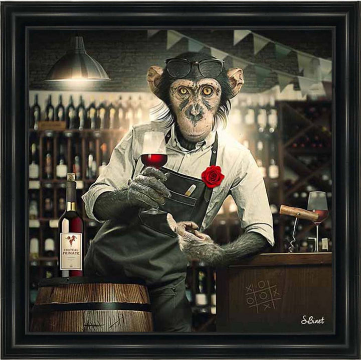 AN2315 The Bar Monkey