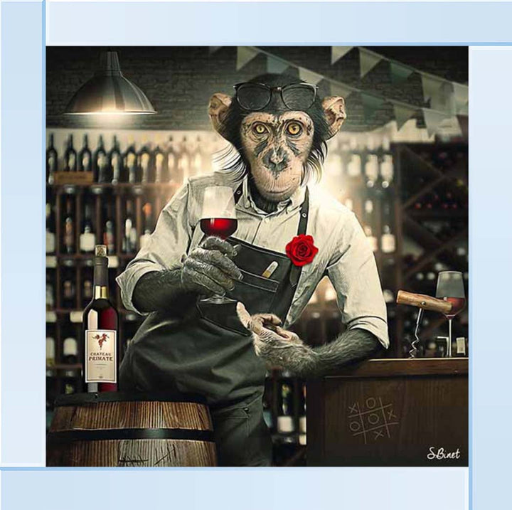 AN2315 The Bar Monkey