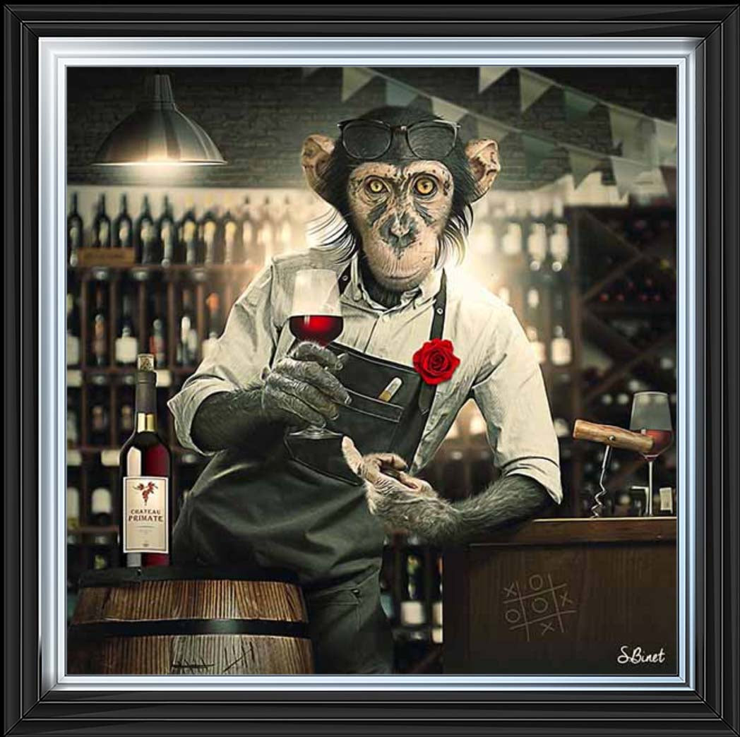AN2315 The Bar Monkey