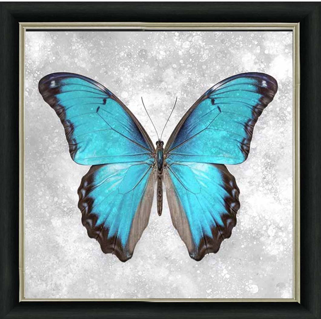 AN2413 Blue Butterfly