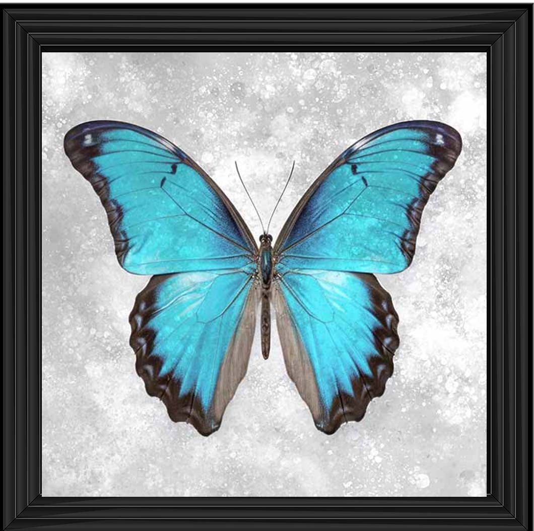 AN2413 Blue Butterfly
