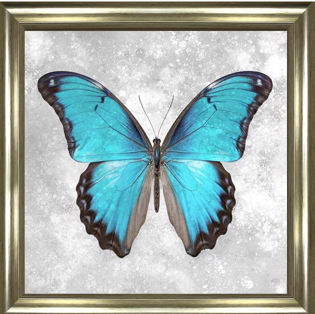 AN2413 Blue Butterfly