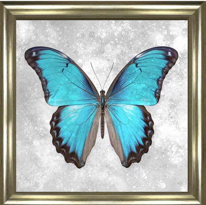 AN2413 Blue Butterfly