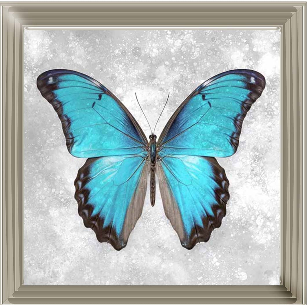 AN2413 Blue Butterfly