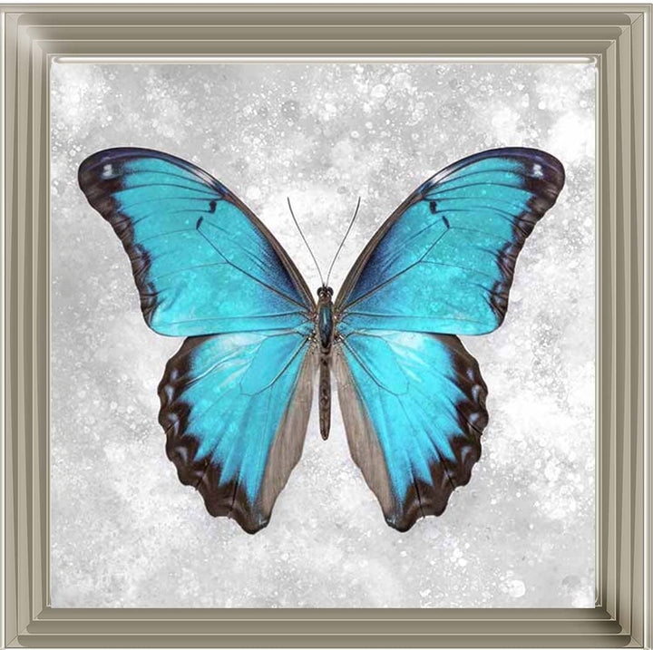 AN2413 Blue Butterfly