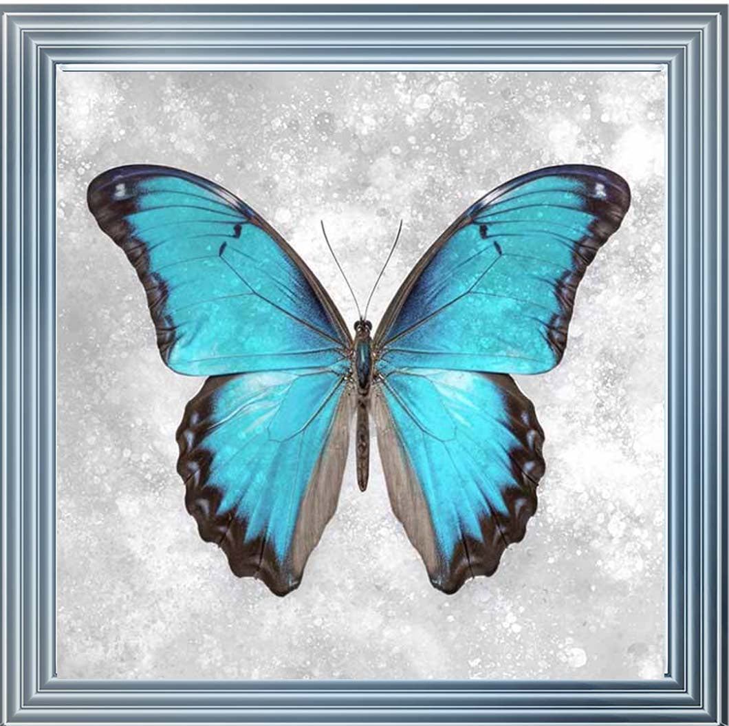 AN2413 Blue Butterfly