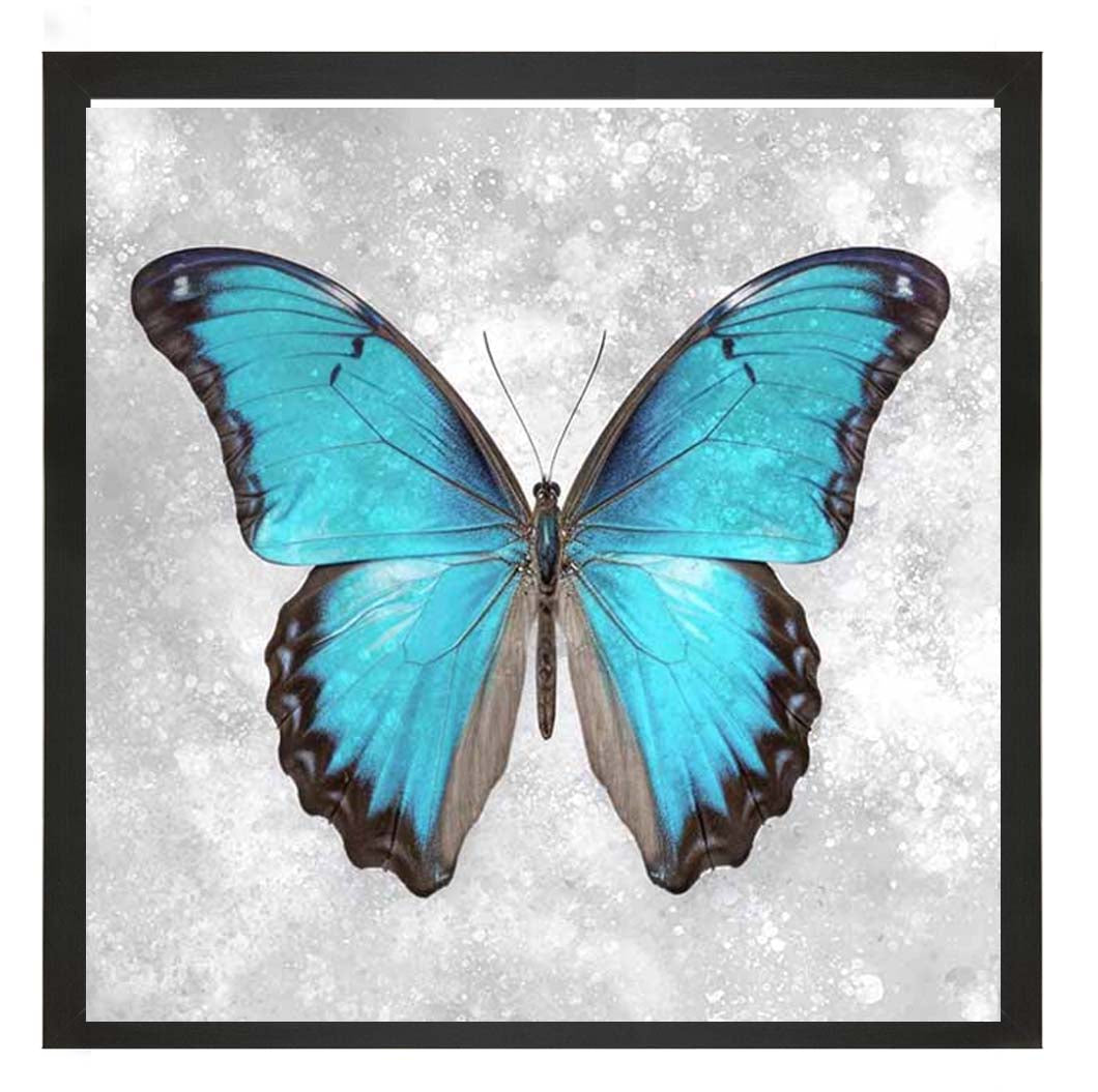 AN2413 Blue Butterfly