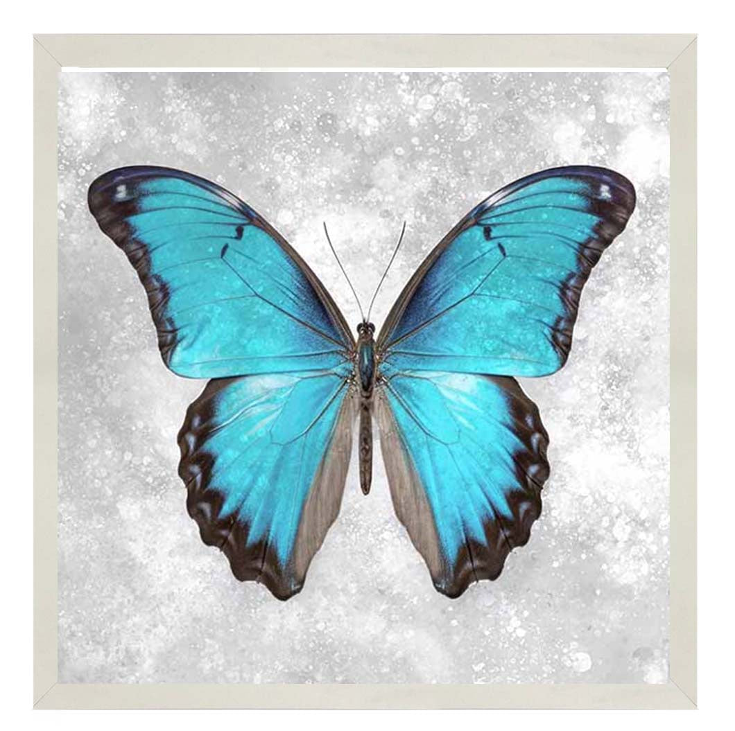 AN2413 Blue Butterfly