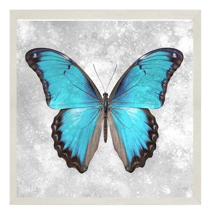 AN2413 Blue Butterfly