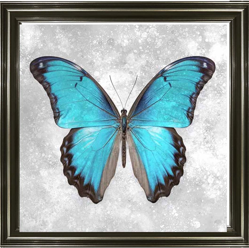 AN2413 Blue Butterfly