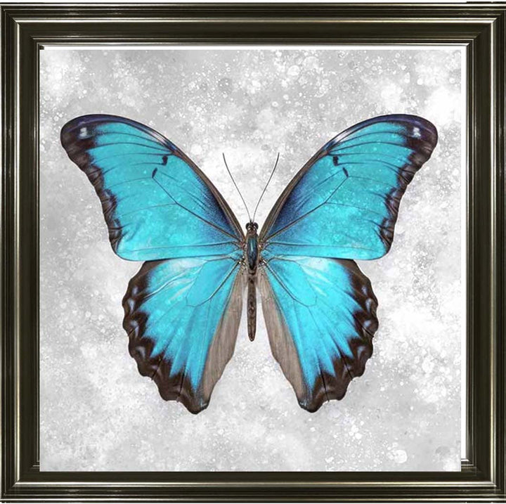 AN2413 Blue Butterfly