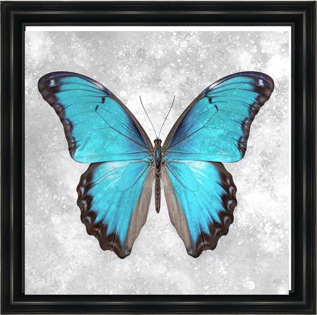AN2413 Blue Butterfly