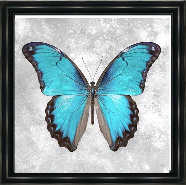 AN2413 Blue Butterfly