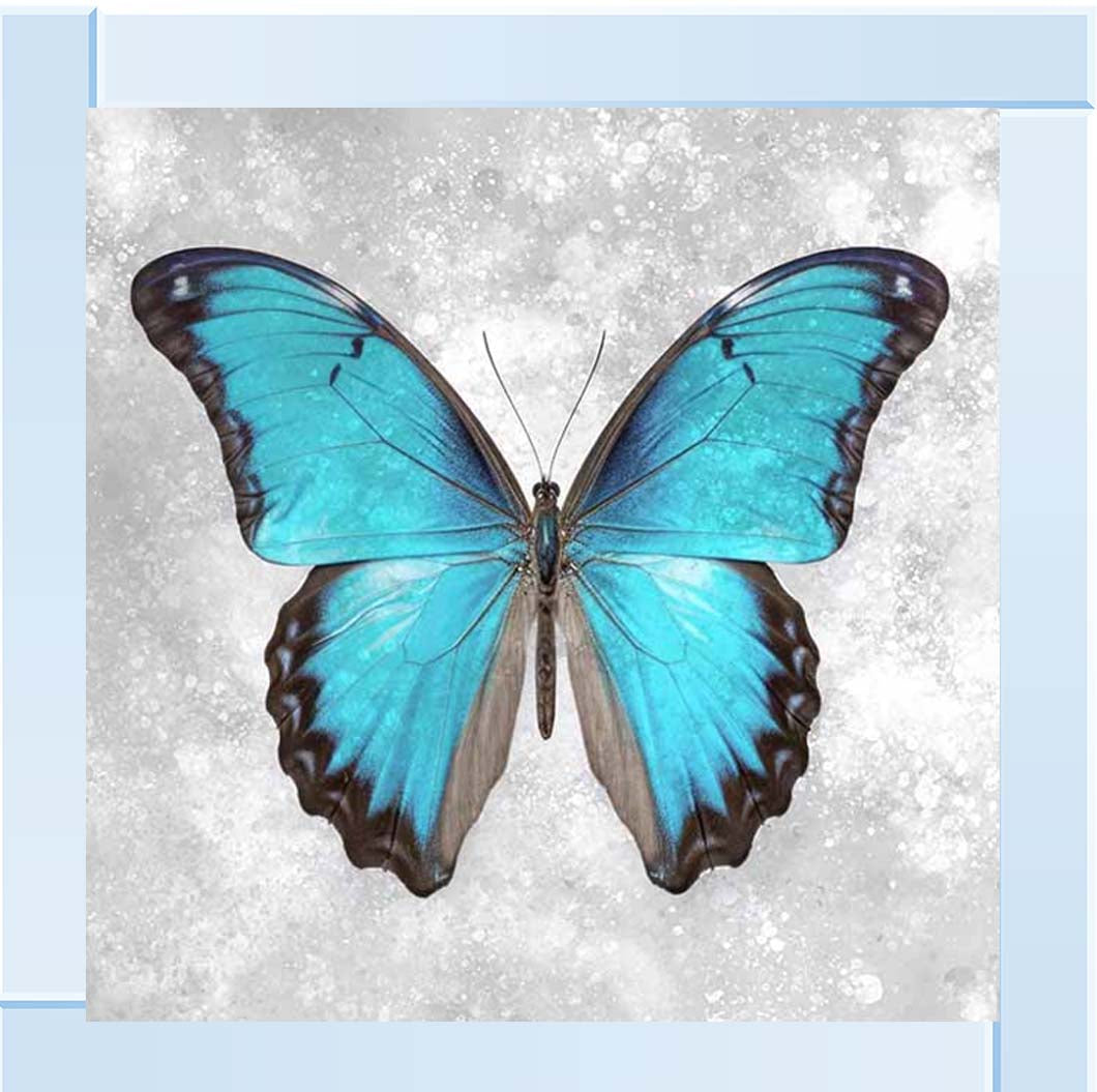 AN2413 Blue Butterfly