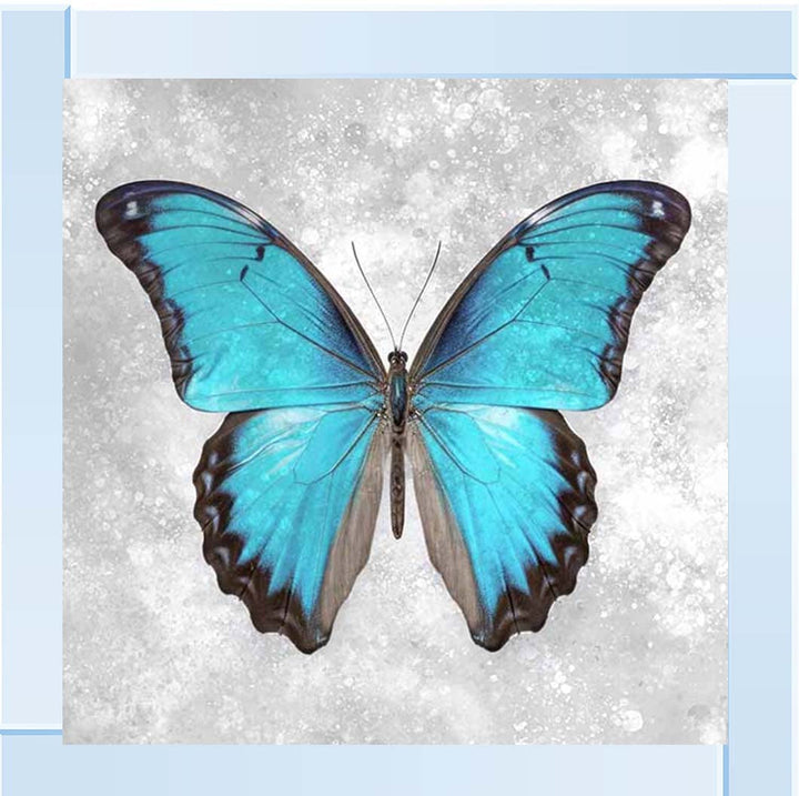 AN2413 Blue Butterfly
