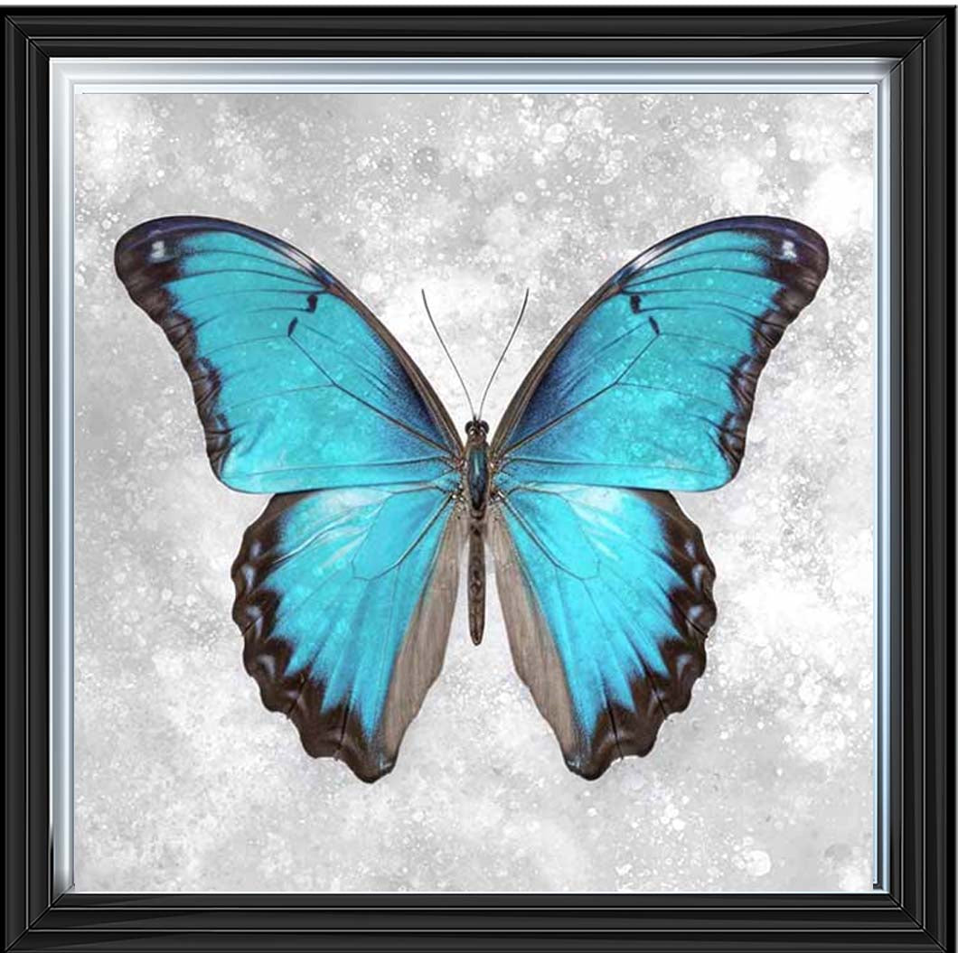 AN2413 Blue Butterfly