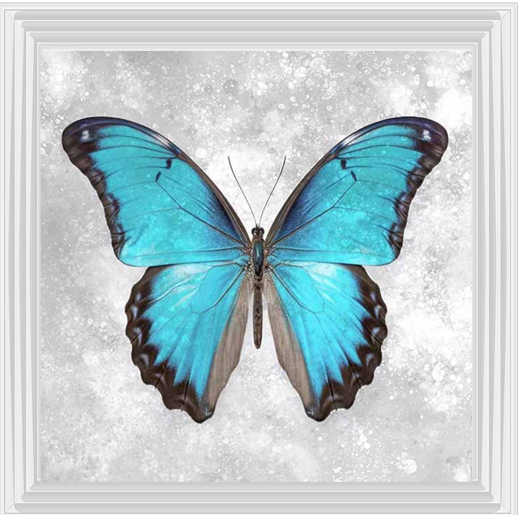 AN2413 Blue Butterfly