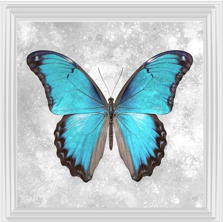 AN2413 Blue Butterfly