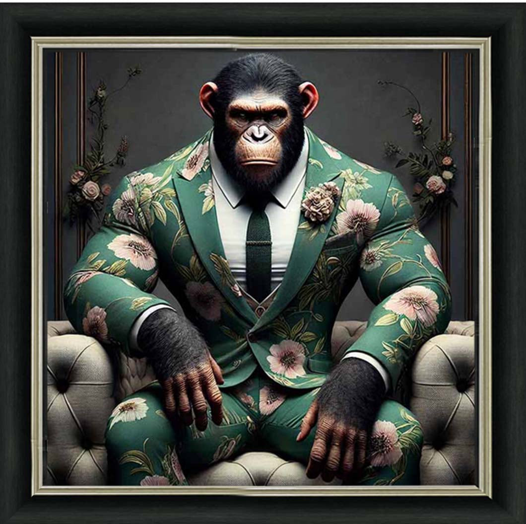AN2443 Chimpanzee the Boss