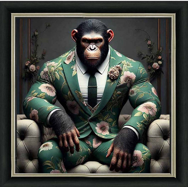 AN2443 Chimpanzee the Boss