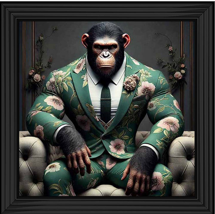 AN2443 Chimpanzee the Boss