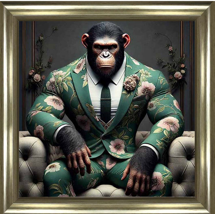AN2443 Chimpanzee the Boss