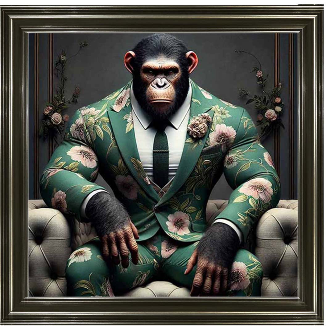 AN2443 Chimpanzee the Boss
