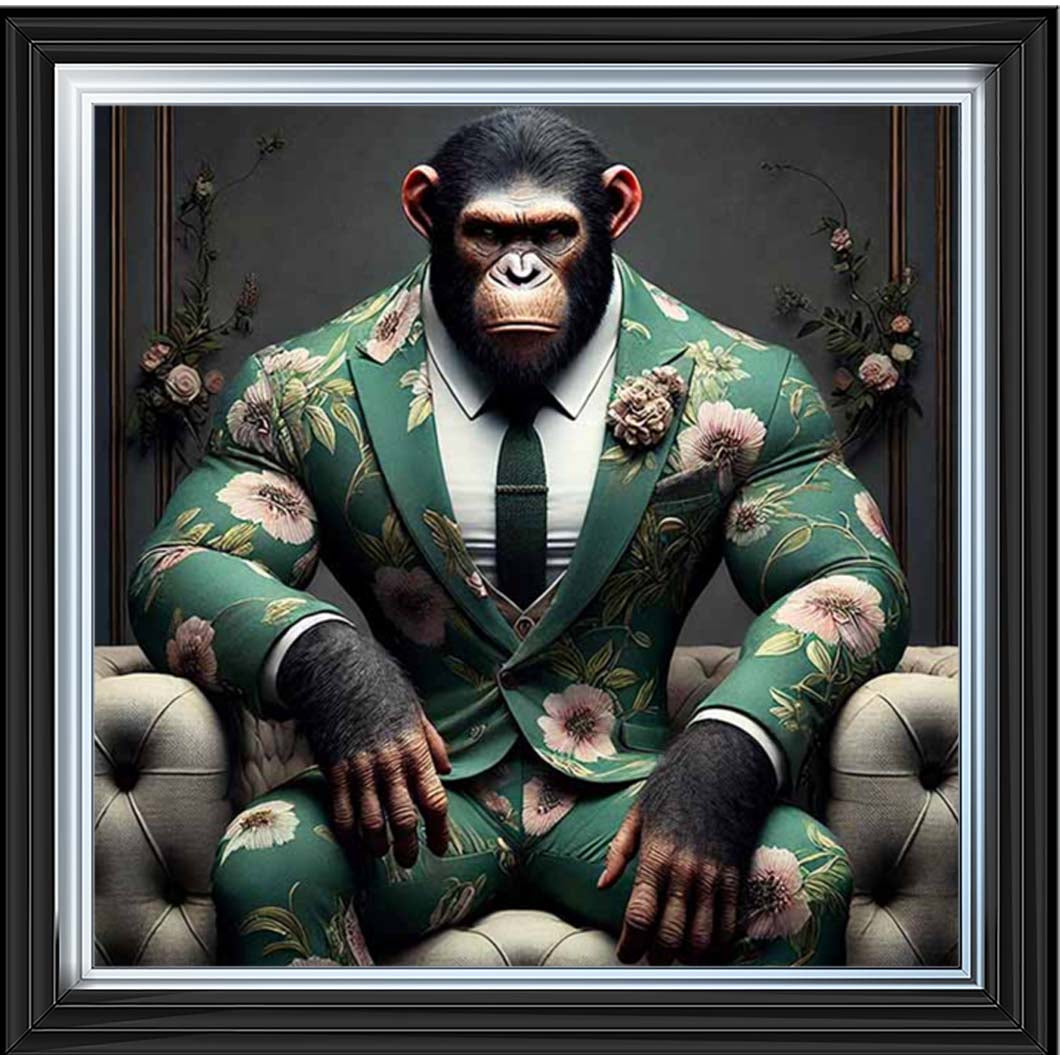 AN2443 Chimpanzee the Boss