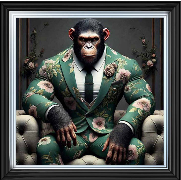 AN2443 Chimpanzee the Boss