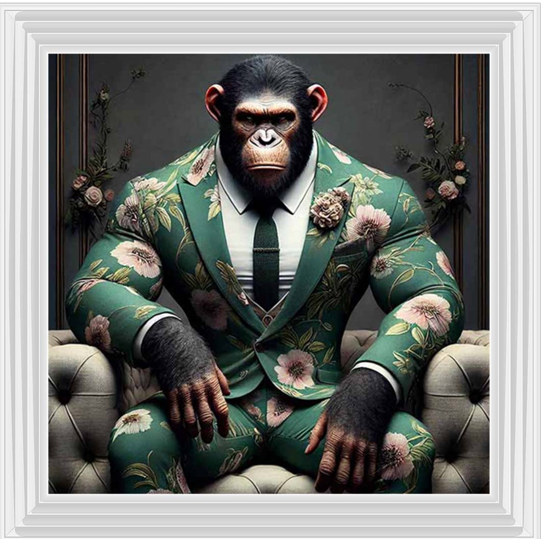 AN2443 Chimpanzee the Boss
