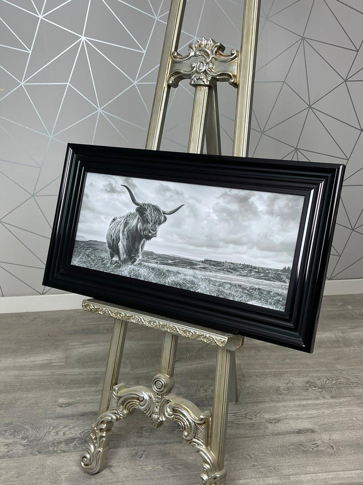 Highland Cow II