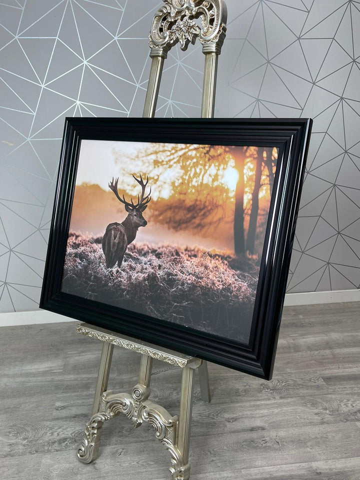 Single Stag 2