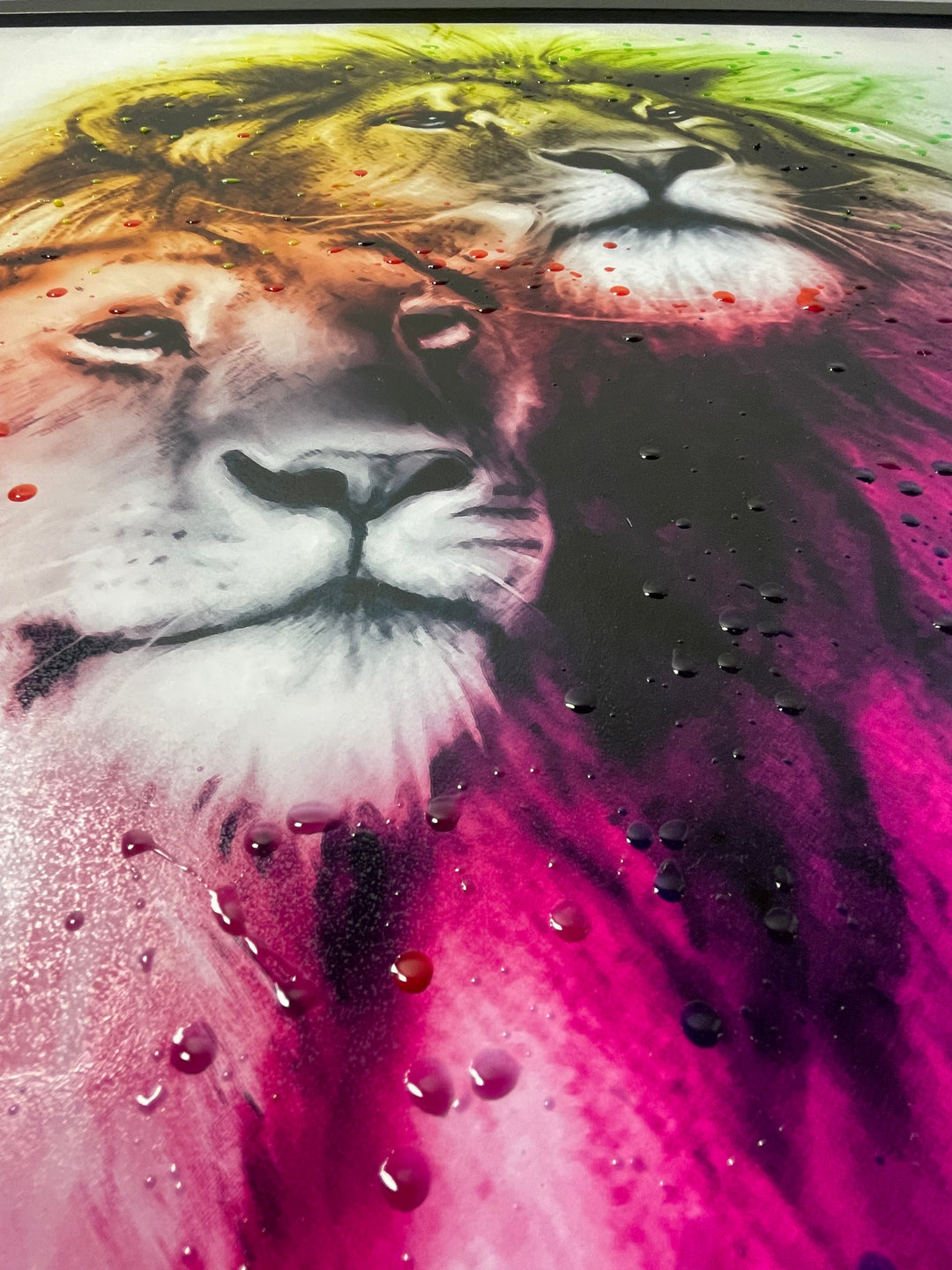 Colourful Lion Couple OV