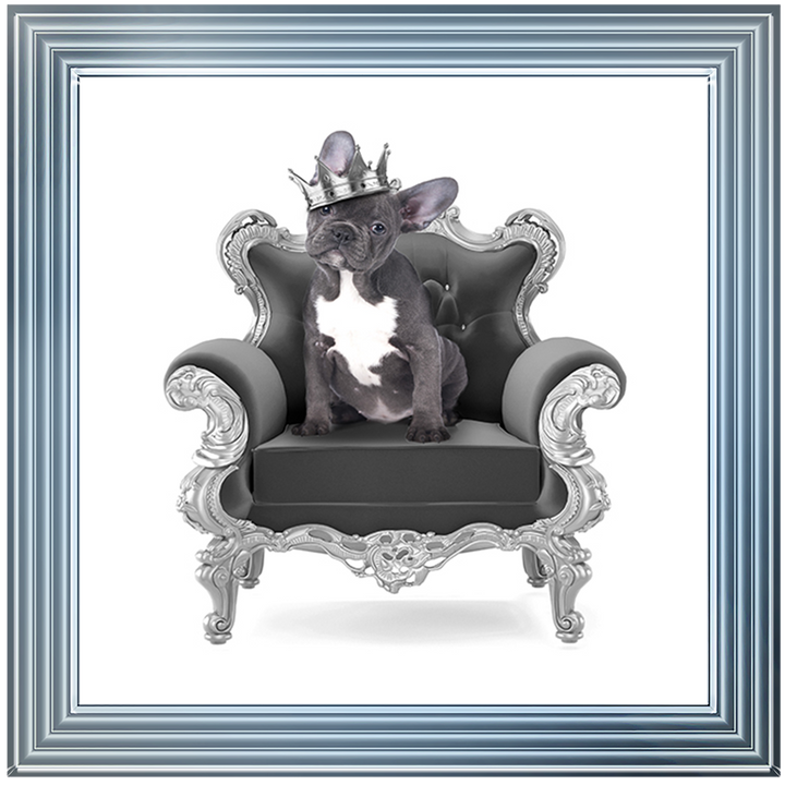 AN460 Frenchie On The Throne Silver