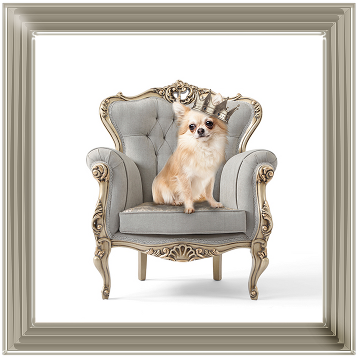 Roman On The Throne