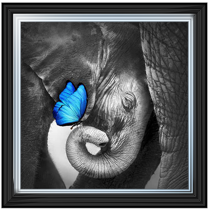 AN465 Butterfly Embrace