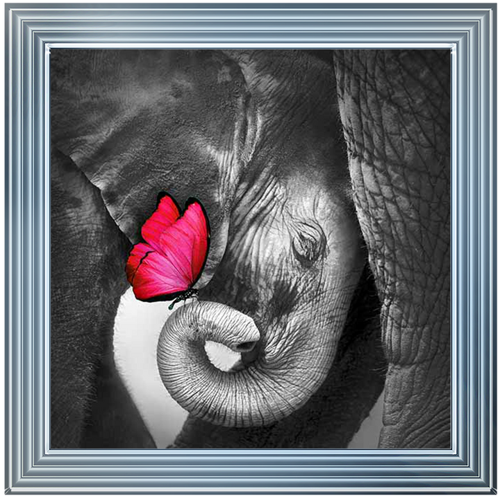 Pink Butterfly Embrace