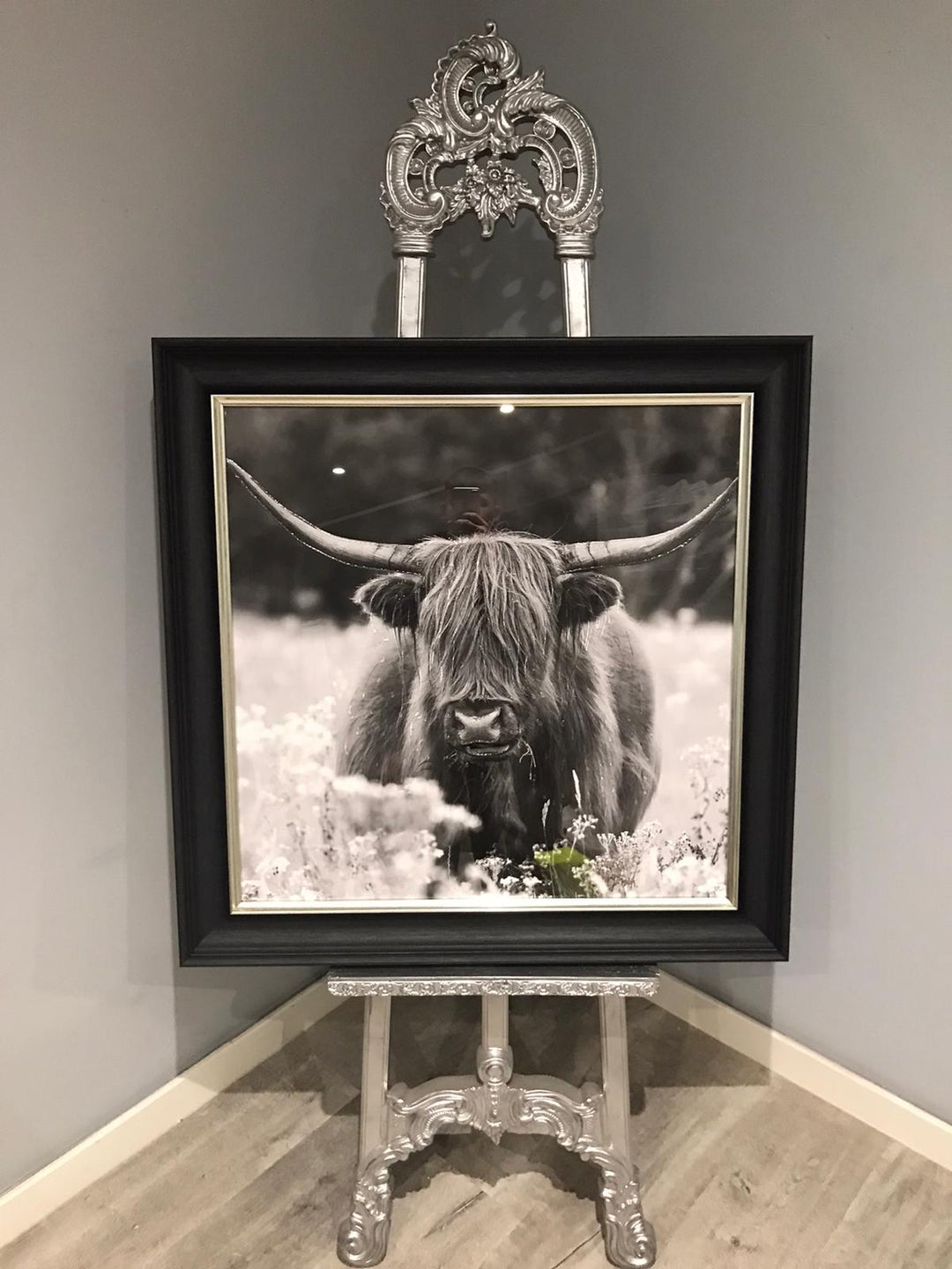 AN507 Highland Cow In The Meadow B&W