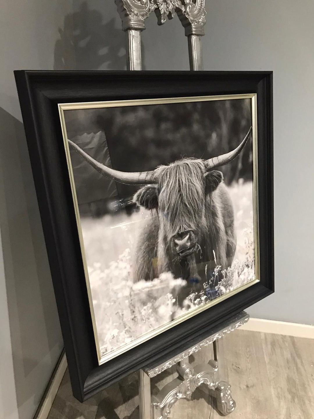 AN507 Highland Cow In The Meadow B&W