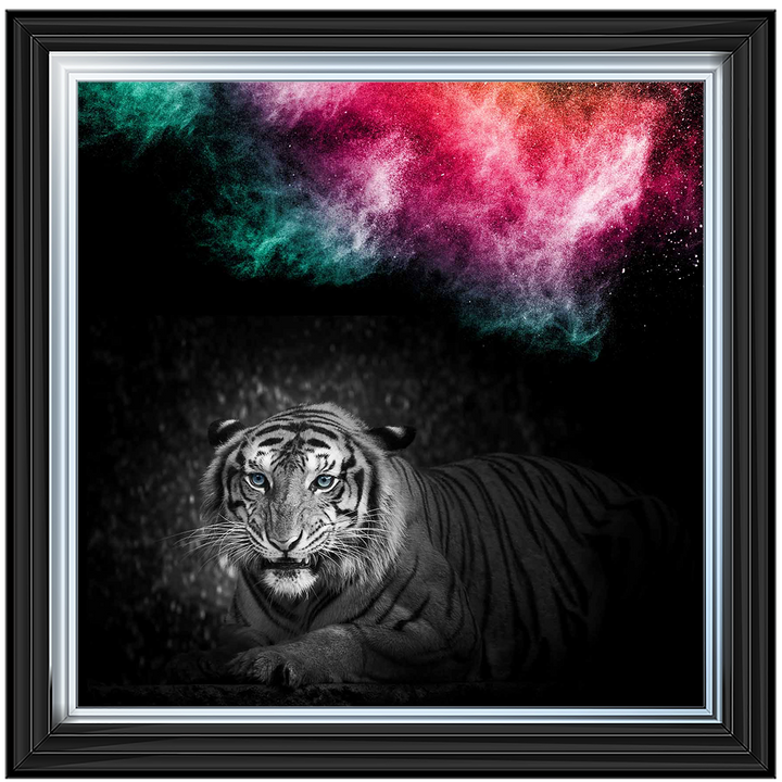Tiger Multi Coloured Sky