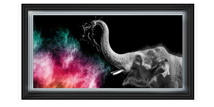 Elephant Powder Paint