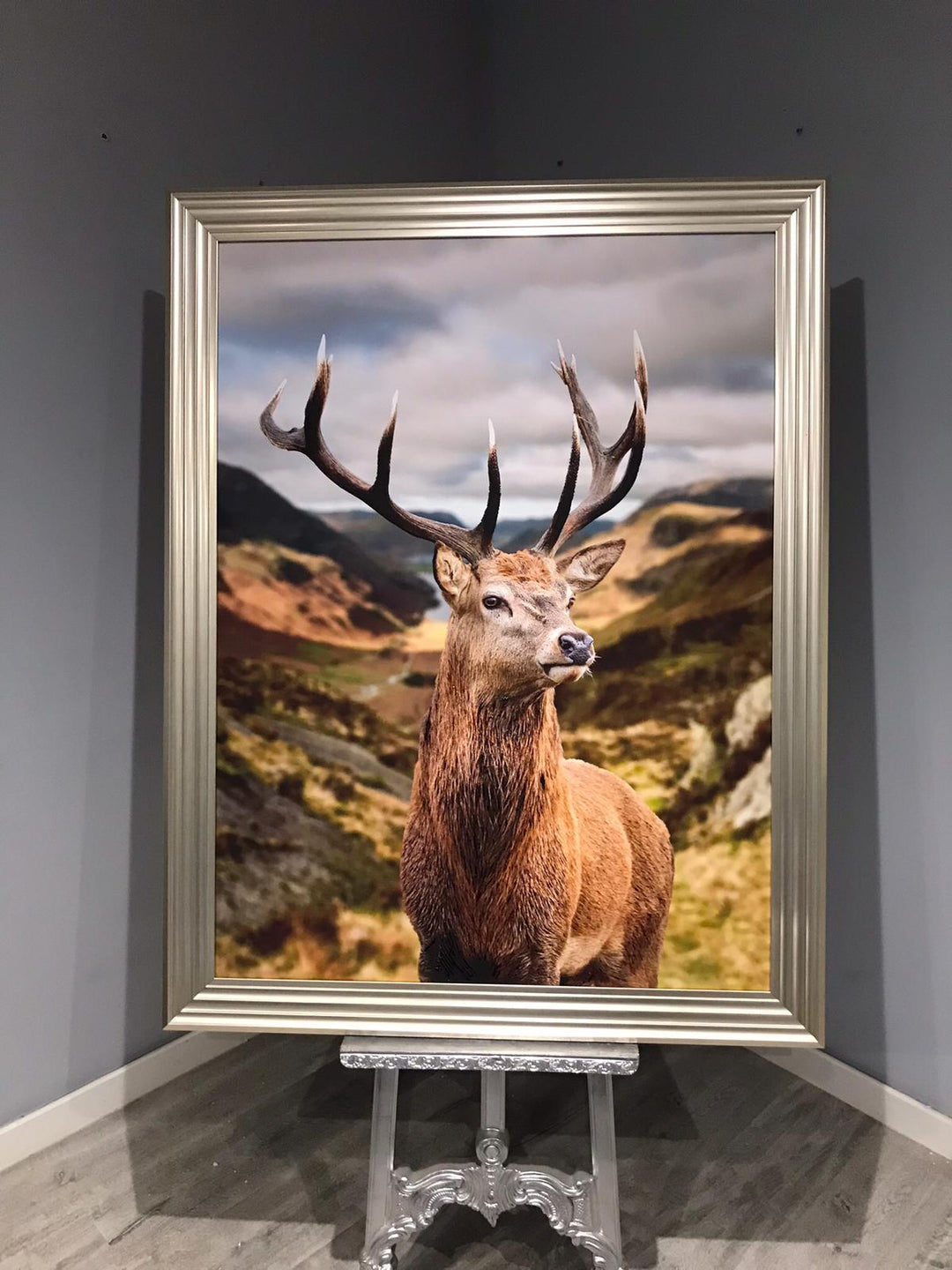 AN520 Stag of the highlands