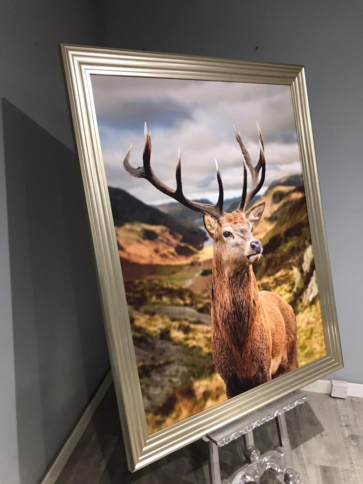 AN520 Stag of the highlands